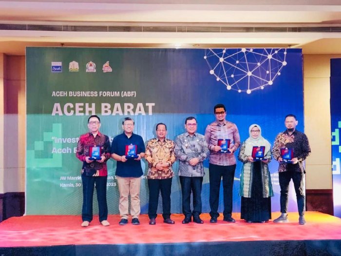 Website DPMPTSP Aceh