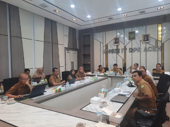 DPMPTSP Aceh Ikuti Rapat Lanjutan Pembahasan Rancangan Qanun RTRW Aceh Bersama Tim Ahli Komisi IV DPRA